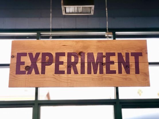 experiment-and-evolve