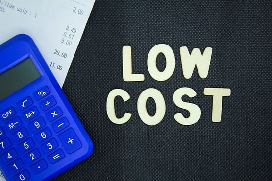 Low-Startup-Cost