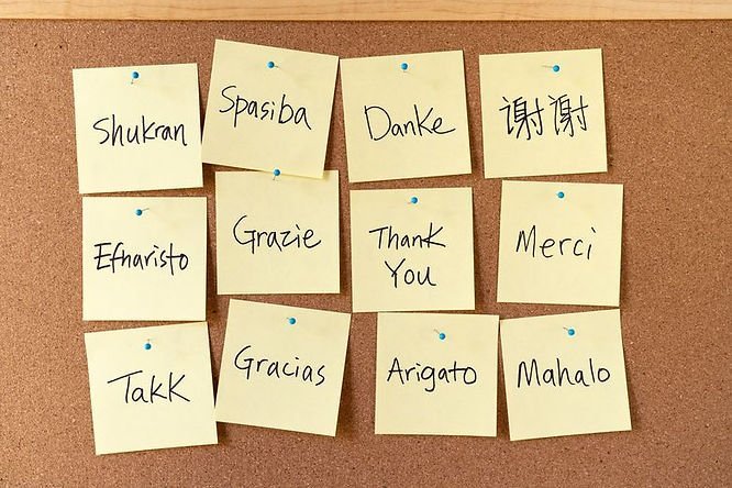 multilingual-chatbot-support